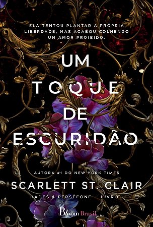 Livro Um toque de escuridão: 1
