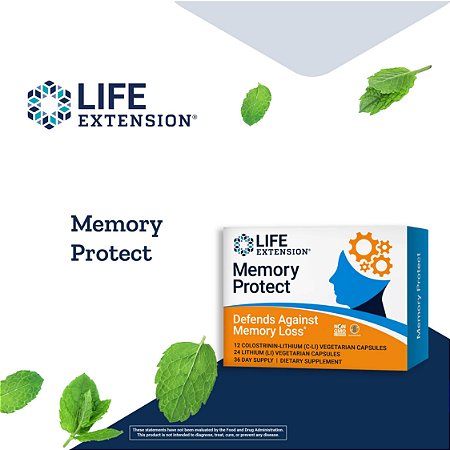 Memory Protect - 36 Cápsulas Vegetarianas