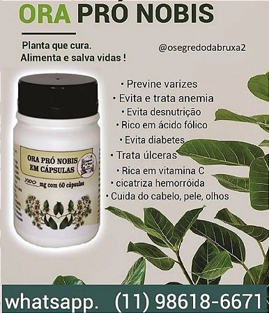 Ora pro nóbis 1000mg