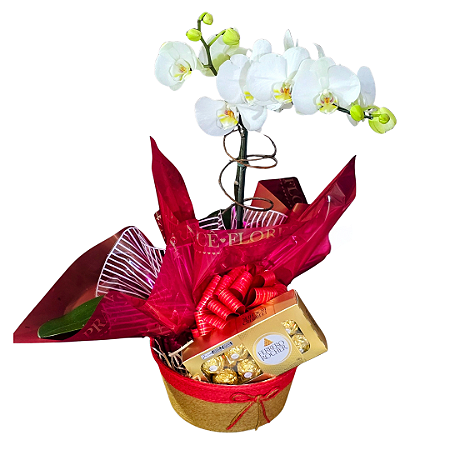 Kit Dama D'oro