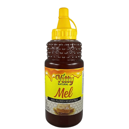 Mel Laranjeiras Natural Bisnaga 500g Vitty