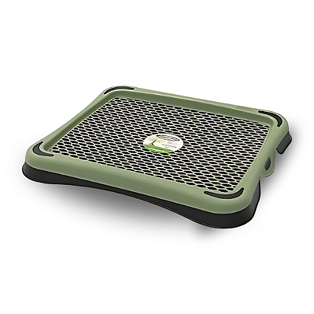 Sanitario Para Caes Pipi Tapete Eco - Verde Oliva