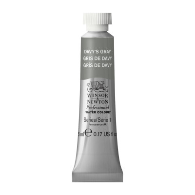 Tinta Aquarela Profissional Winsor & Newton Tubo 5ml S1 - Davy's Gray (217)