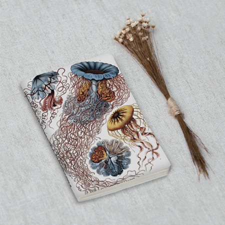 Journal Sem Pauta 9x13,5cm 64 Páginas Folk Books - Medusas