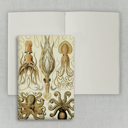 Journal Sem Pauta 20x13,5cm 64 Páginas Folk Books - Polvos & Lulas