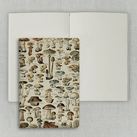 Journal Sem Pauta 20x13,5cm 64 Páginas Folk Books - Cogumelos
