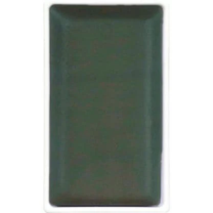 Aquarela Kuretake Gansai Tambi - Graphite Green (250)
