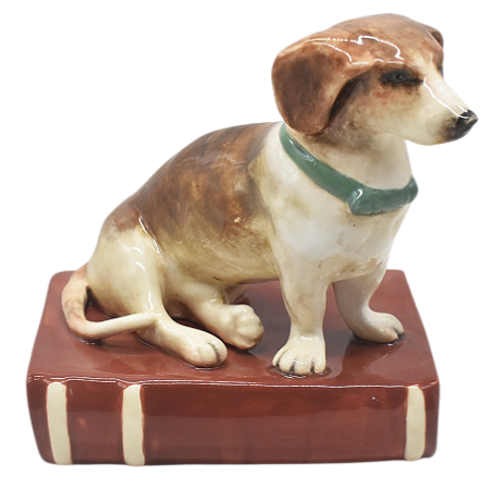 Cachorro Basset com livro