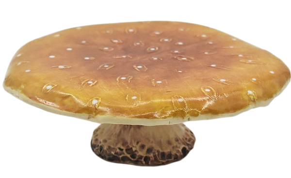 Prato de bolo Cogumelo amarelo