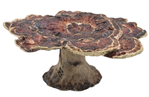 Prato de bolo de Cogumelos com pé