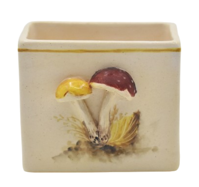 Porta adoçante de Cogumelos