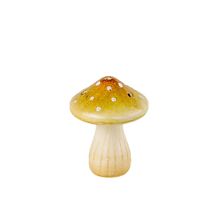 COGUMELO CHAMPIGNON AMARELO CLARO