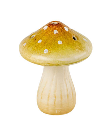 COGUMELO CHAMPIGNON AMARELO CLARO