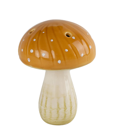 COGUMELO AMANITA AMARELO