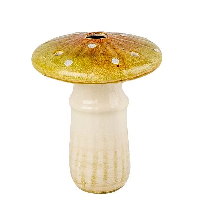 COGUMELO SHITAKE AMARELO CLARO