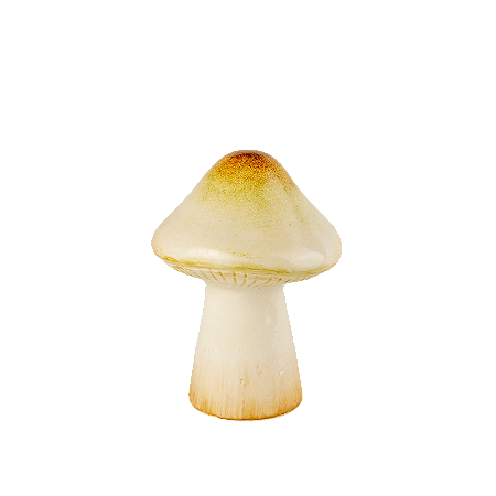 COGUMELO AMARELO CLARO