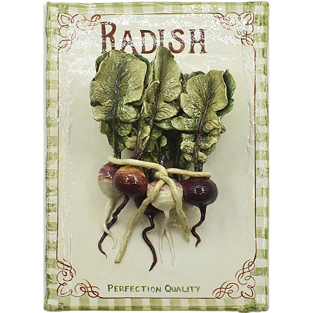 PLACA RADISH G