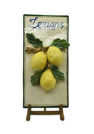 PLACA RETANGULAR DE LIMÕES