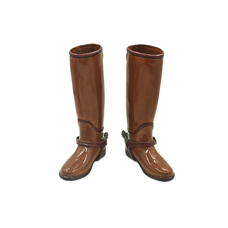 BOTAS COM ESPORA