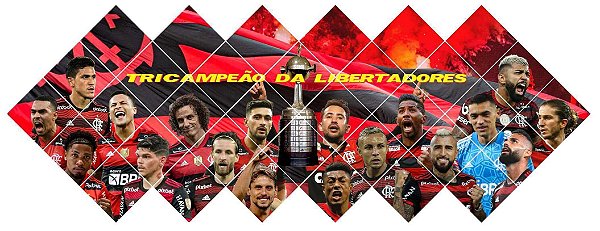 Quadro do Flamengo Tricampeão da Libertadores 3D Mosaico 34 Peças