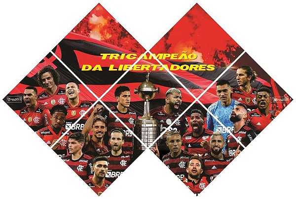 Quadro do Flamengo Tricampeão da Libertadores 3D Mosaico 07 Peças