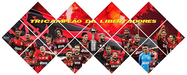 Quadro do Flamengo Tricampeão da Libertadores 3D Mosaico 13 Peças