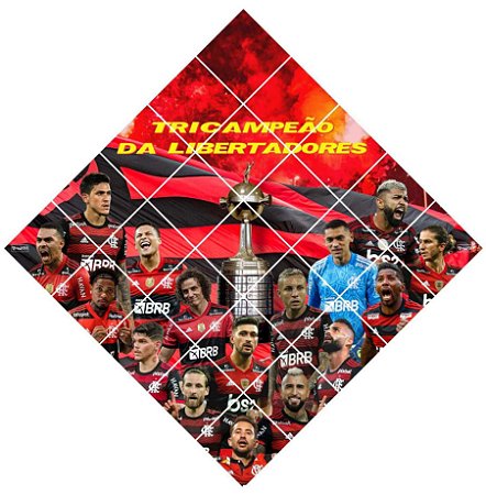 Quadro do Flamengo Tricampeão da Libertadores 3D Mosaico 25 Peças
