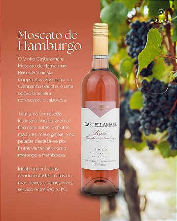 Vinho Moscato de Hamburgo Castellamare - 750 mL