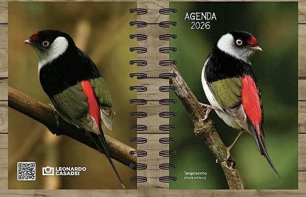 Agenda 2026 - Tangarazinho