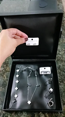 Kit na caixa. Trevo aço inoxidável, anéis e brincos.