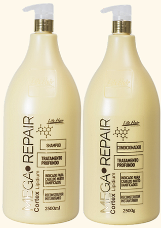 Kit Mega Repair Profisssional Lavatório 2.5l Cada Life Hair