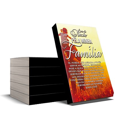 Livro médio Minha Família