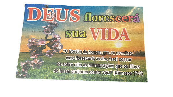Envelope Deus Florescerá na sua Vida Colado 100 unidades