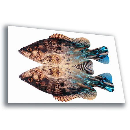 Folheto Peixe pesca maravilhosa Grande A3 - 500 unidades