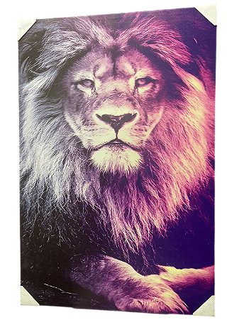 Quadro de Leão roxo colorido 90x60 cm