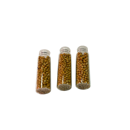 Grão de Mostarda / Para Campanha - 10 Unidades