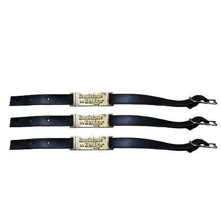 Pulseira Santidade ao Senhor dourada - 10 unidades