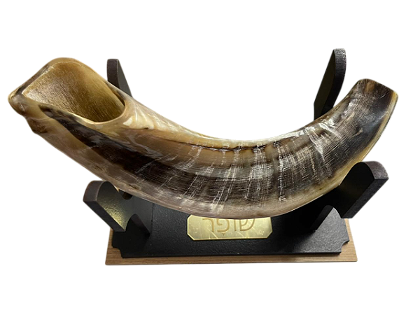 Shofar De Chifre De Carneiro De Ungir/unção  + Suporte