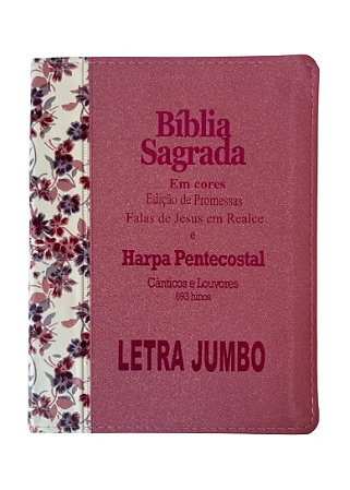 Bíblia Sagrada Feminina Letra Jumbo