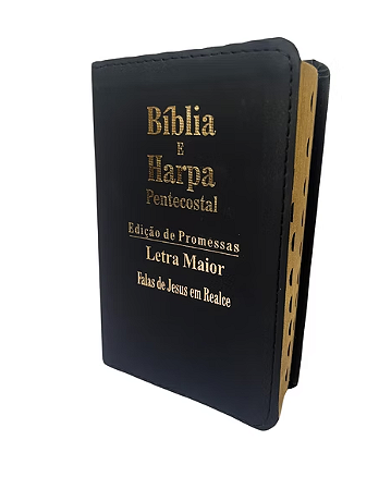 Bíblia Sagrada Média HDO Luxo Letra Grande