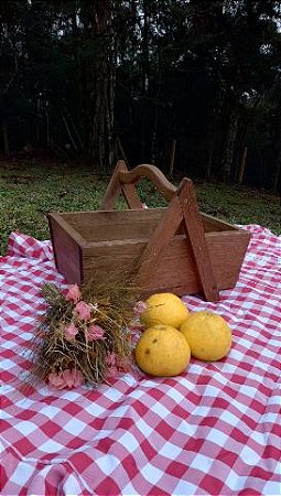 Cesta Picnic