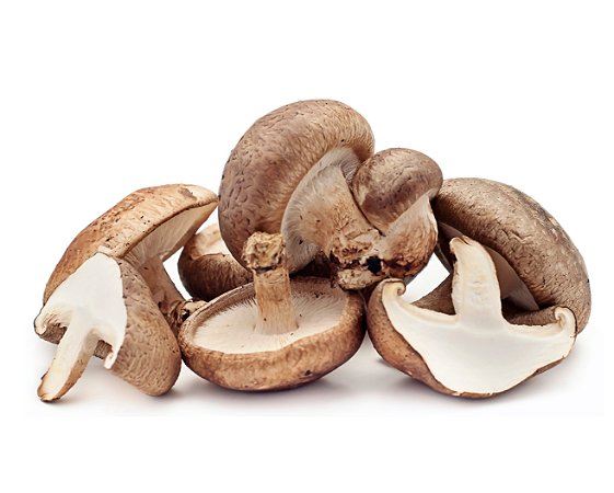 Shiitake Inteiro Desidratado 100g - Pegada Viva - Compra de Cogumelos,  Brotos e microverdes em Recife PE