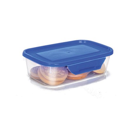 Caixa Com Trava 250 ML Erca Plast Fardo C/12