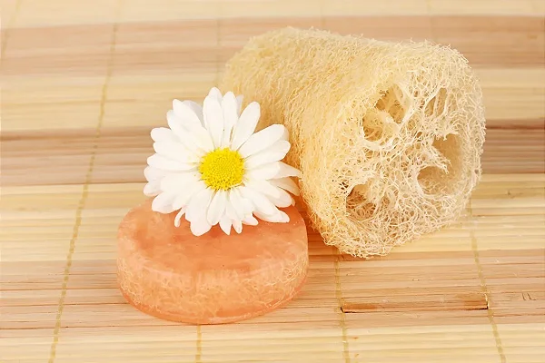 Esponja Bucha Vegetal Natural Esfoliação Atacado