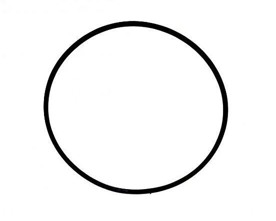 Anel Oring Nautilus da Tampa Acrílica 104,14 x 5,33 mm