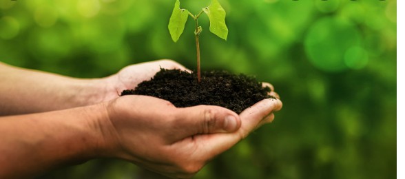 Consultoria Redução de Carbono