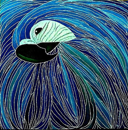 "ARARA AZUL"