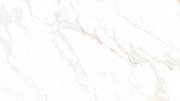 Bellacer 240008 32x58