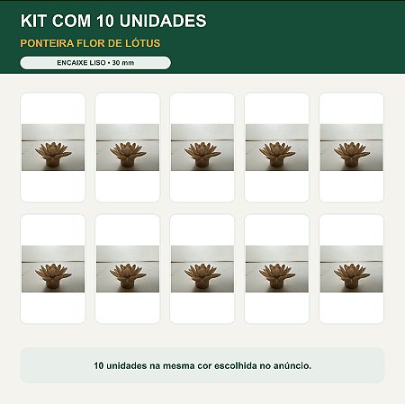 Kit 10 Ponteira / Bico de Entrada Flor de Lótus 30 mm para Abelhas Sem Ferrão