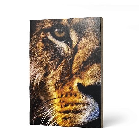 BIBLIA COM HARPA  LETRA GIGANTE LEAO